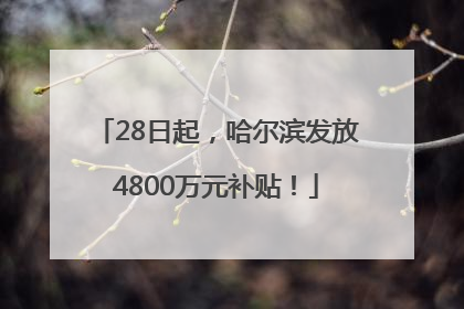 28日起，哈尔滨发放4800万元补贴！