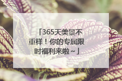 365天美景不重样！你的专属限时福利来啦～