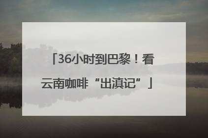 36小时到巴黎！看云南咖啡“出滇记”