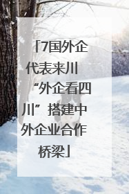 7国外企代表来川 “外企看四川”搭建中外企业合作桥梁