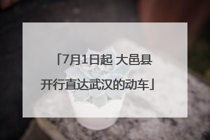 7月1日起 大邑县开行直达武汉的动车