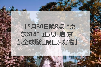 5月30日晚8点“京东618”正式开启 京东全球购汇聚世界好物
