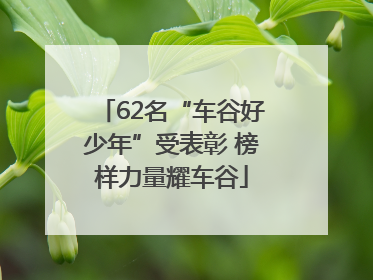 62名“车谷好少年”受表彰 榜样力量耀车谷