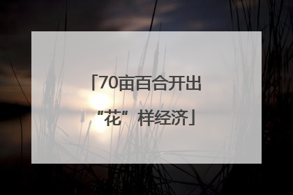 70亩百合开出“花”样经济
