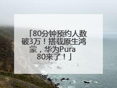 80分钟预约人数破3万！搭载原生鸿蒙，华为Pura 80来了！