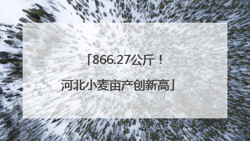 866.27公斤！河北小麦亩产创新高