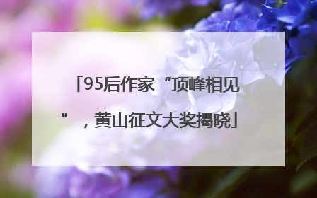 95后作家“顶峰相见”，黄山征文大奖揭晓