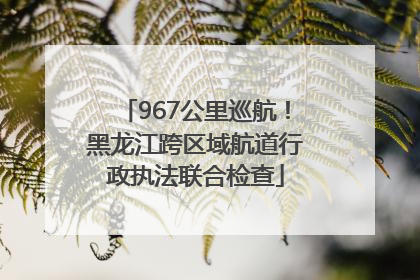 967公里巡航！黑龙江跨区域航道行政执法联合检查
