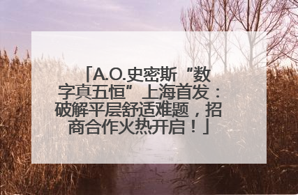 A.O.史密斯“数字真五恒”上海首发：破解平层舒适难题，招商合作火热开启！