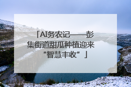 AI务农记——彭集街道甜瓜种植迎来“智慧丰收”