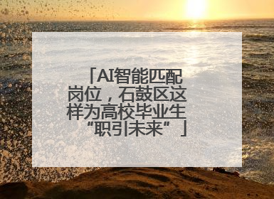 AI智能匹配岗位，石鼓区这样为高校毕业生“职引未来”