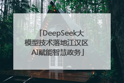 DeepSeek大模型技术落地江汉区 AI赋能智慧政务