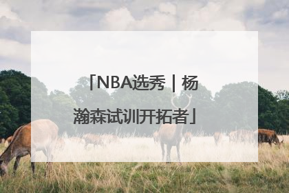 NBA选秀｜杨瀚森试训开拓者