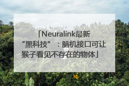 Neuralink最新“黑科技”：脑机接口可让猴子看见不存在的物体