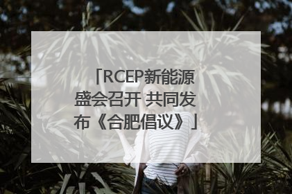 RCEP新能源盛会召开 共同发布《合肥倡议》