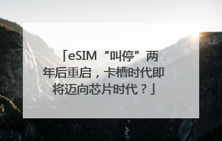 eSIM“叫停”两年后重启，卡槽时代即将迈向芯片时代？